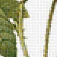 Предпросмотр схемы вышивки «Винтажная роза на белом фоне 6» (№1139002)