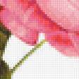 Предпросмотр схемы вышивки «Винтажная роза на белом фоне 8» (№1139018)