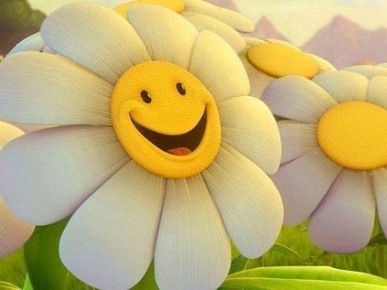 ромашка - оригинал