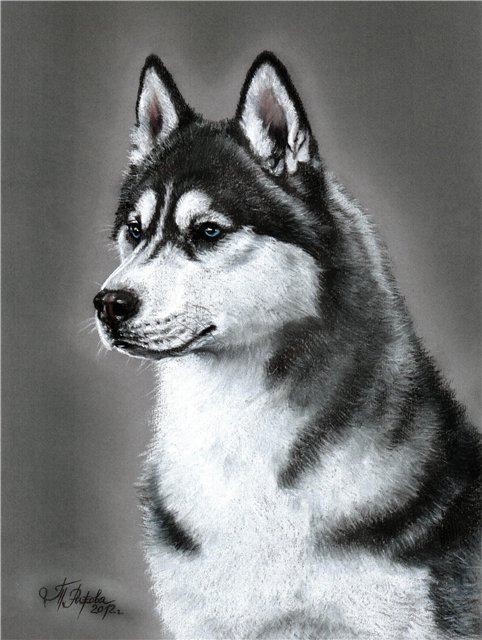 ХАСКИ - оригинал