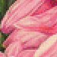 Предпросмотр схемы вышивки «Хризантемы» (№1139745)
