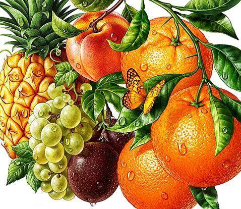 Фруктовое ассорти - ананас, на кухню, персик, апельсин, виноград, слива, фрукты, бабочка - оригинал