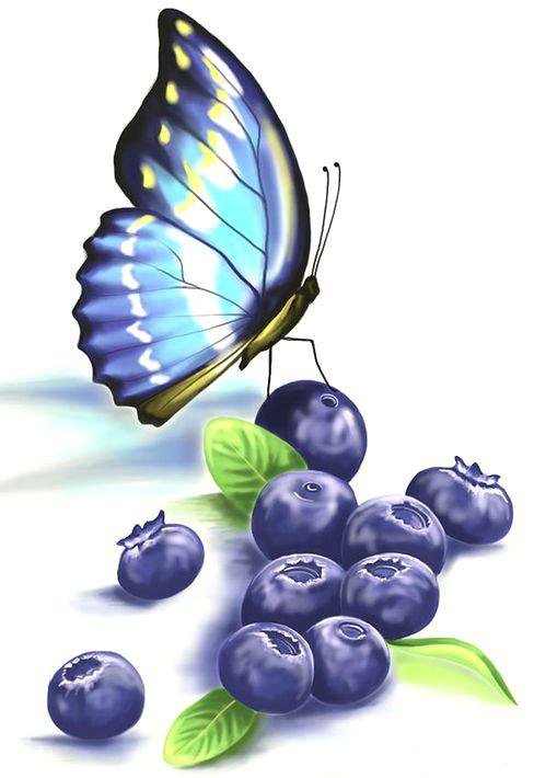 Бабочки и черника - ягода, на кухню, ягоды, насекомые - оригинал