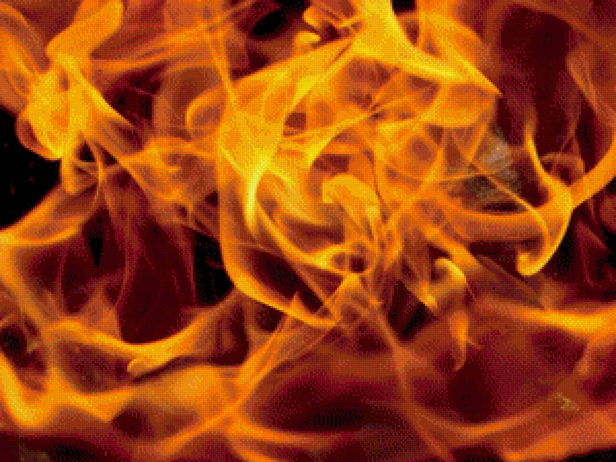 огненная роза - цветы, огонь - предпросмотр