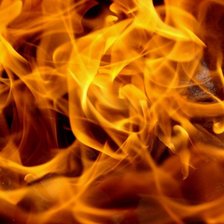 огненная роза