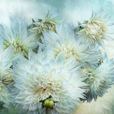 Схема вышивки «георгины»