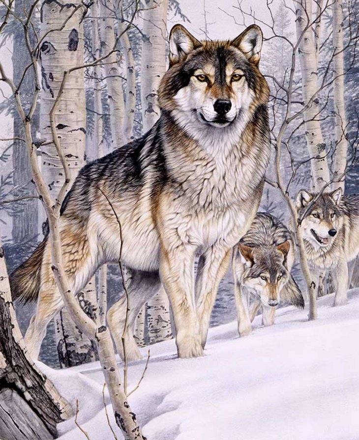 Серия "Фауна" - зима, волки, лес, пара - оригинал
