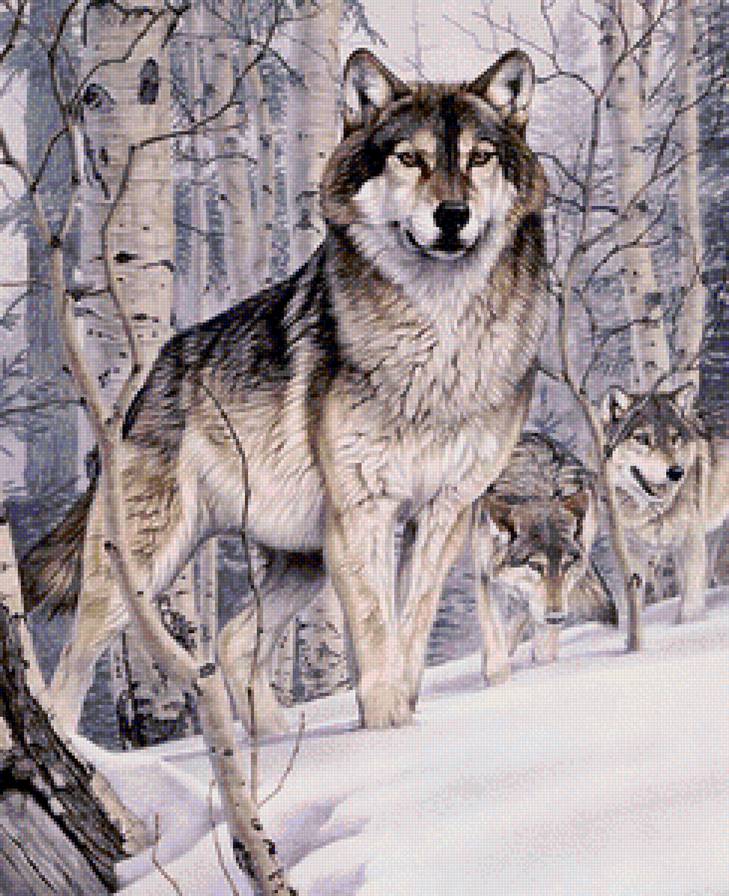 Серия "Фауна" - лес, зима, пара, волки - предпросмотр