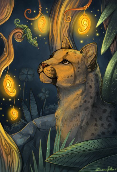 Рысь - животные, хамелеон, рысь, дикие кошки - оригинал