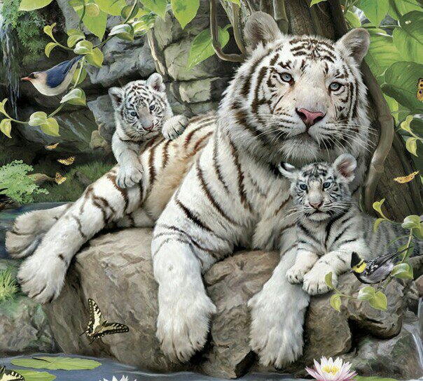 №1141998 - оригинал