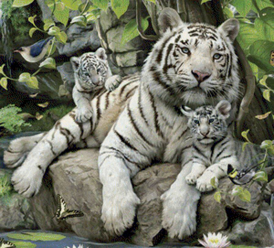 №1141998 - предпросмотр