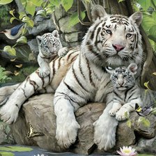 Схема вышивки «№1141998»