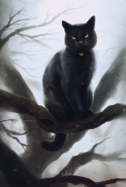 Черный кот - природа, животные, кот, дерево - оригинал