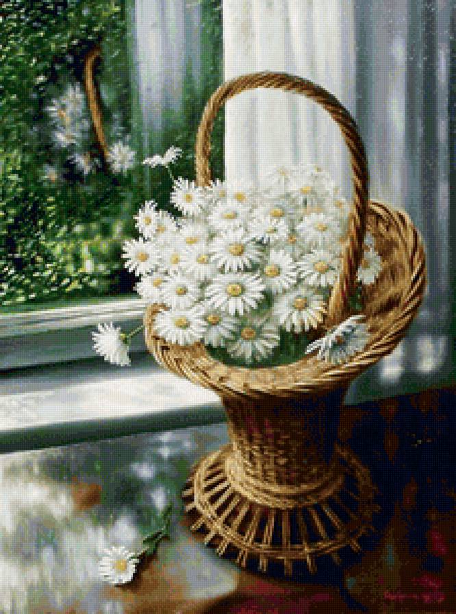 Корзина ромашек у окна - цветы - предпросмотр