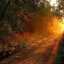 Схема вышивки «заката на лесной дороге»