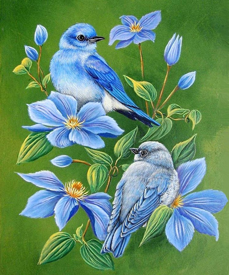 птички-невелички - клематисы, клематис, птицы, синие цветы, голубые цветы, пара - оригинал