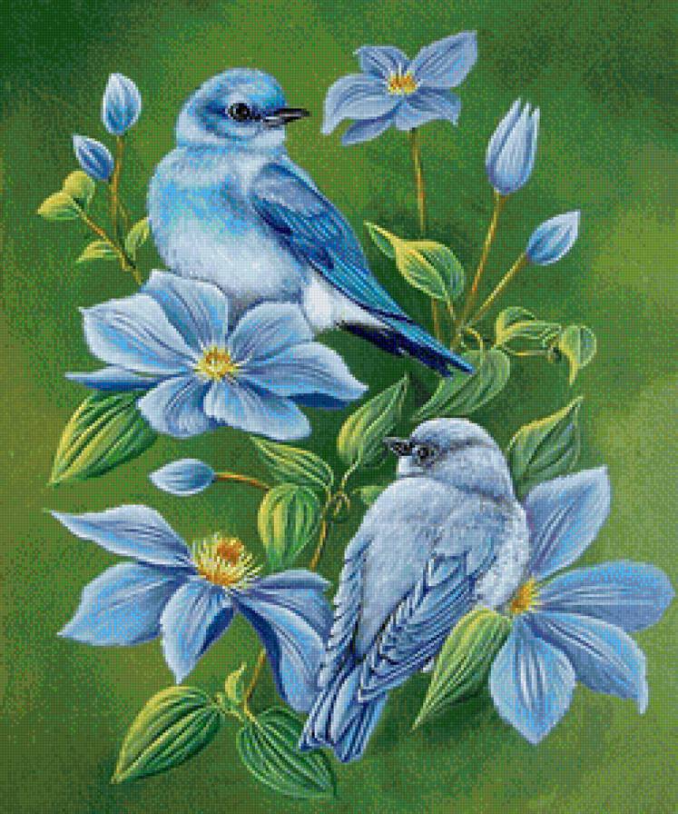 птички-невелички - клематис, синие цветы, птицы, голубые цветы, пара, клематисы - предпросмотр