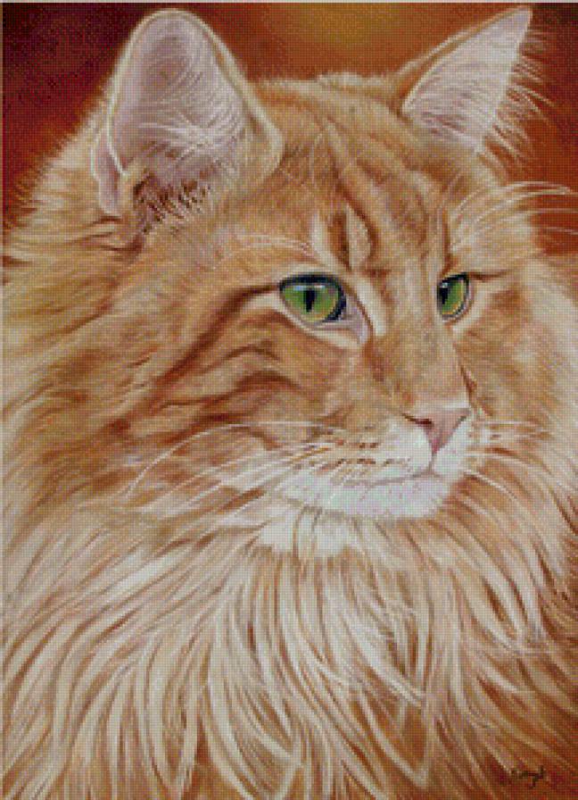 Рыжий красавец - кошка, домашние любимц, коты, животные, картина - предпросмотр