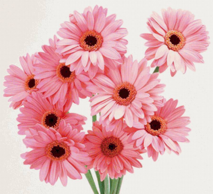 Подушка "Нежные герберы" - розовые цветы, букет, гарберы, цветы, подушка - предпросмотр
