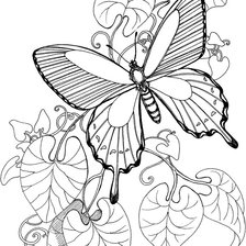 Оригинал схемы вышивки «бабочка» (№1142729)