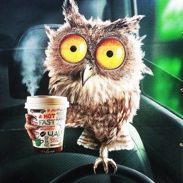 №1142778 - оригинал