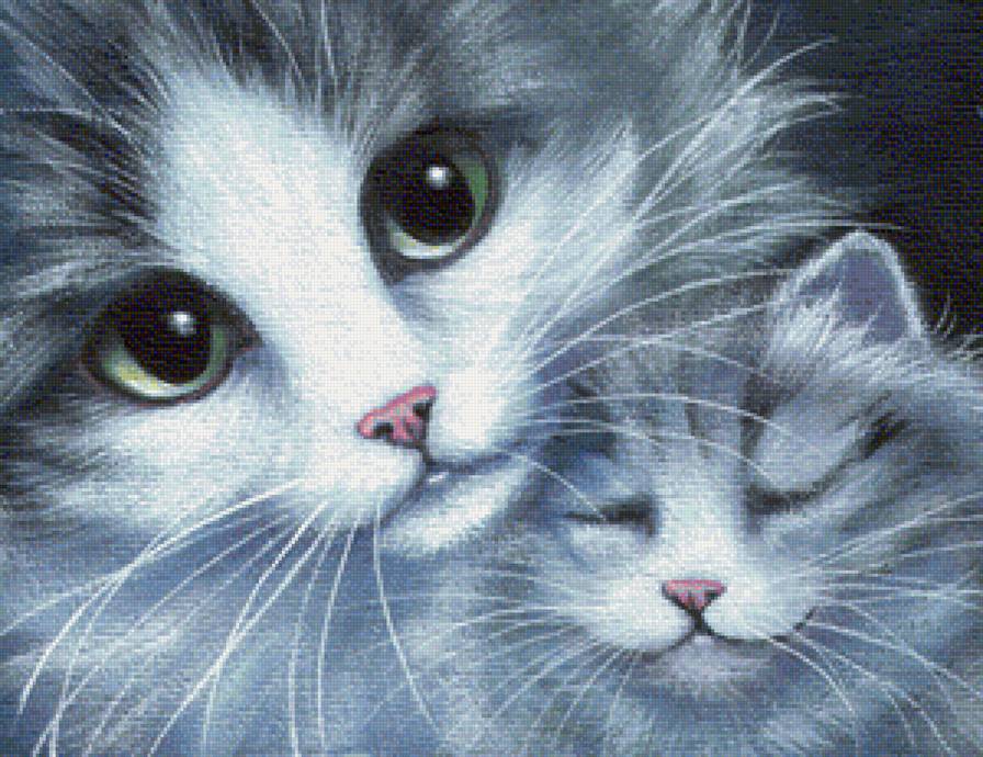 кошка и котенок - предпросмотр