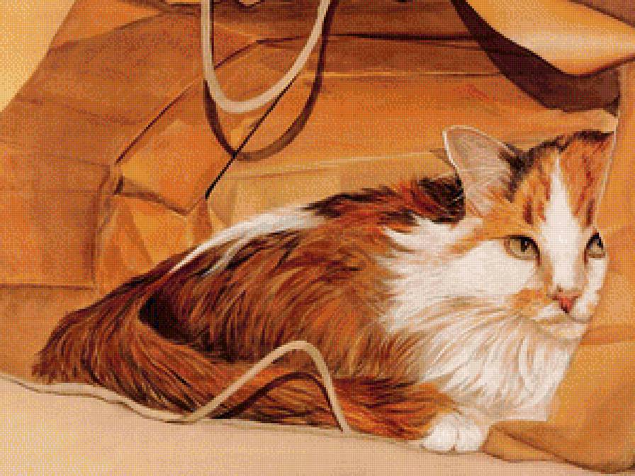 Рыжий кот - предпросмотр