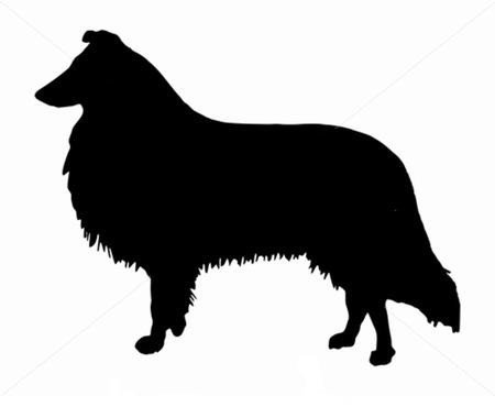 колли - колли - оригинал