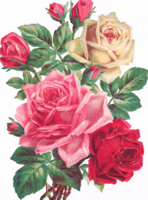 Букет роз - цветы, розы, букет роз, букет - оригинал