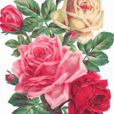 Оригинал схемы вышивки «Букет роз» (№1143023)
