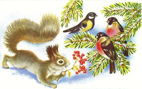Белочка и птички - птицы, снегири, белки, животные - оригинал