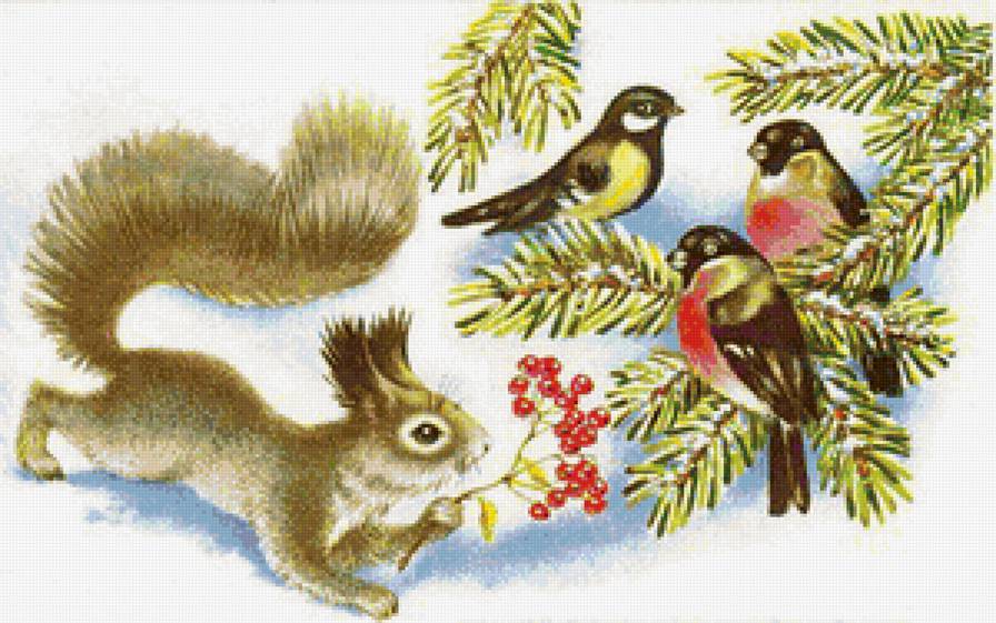 Белочка и птички - снегири, птицы, животные, белки - предпросмотр
