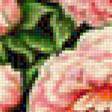 Предпросмотр схемы вышивки «Розы» (№1143147)