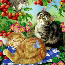 Схема вышивки «Котята»