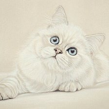 Схема вышивки «кот»