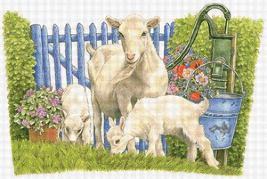 №1144026 - предпросмотр