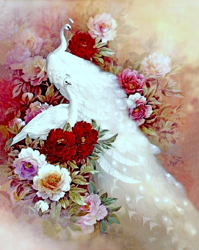 белые павлины - птицы - оригинал