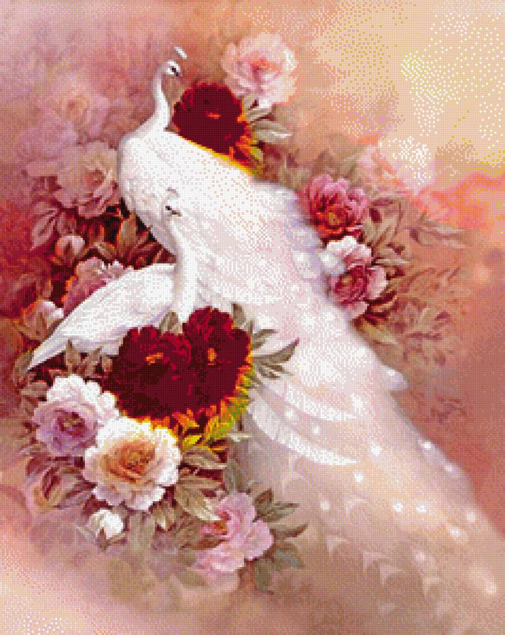 белые павлины - предпросмотр