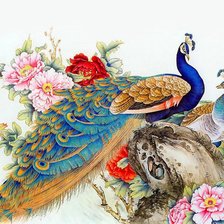 Схема вышивки «Цветы и павлины»