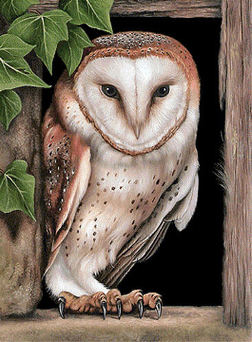 №1144263 - оригинал