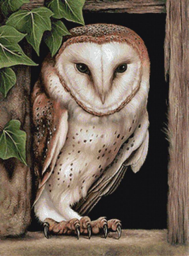 №1144263 - предпросмотр