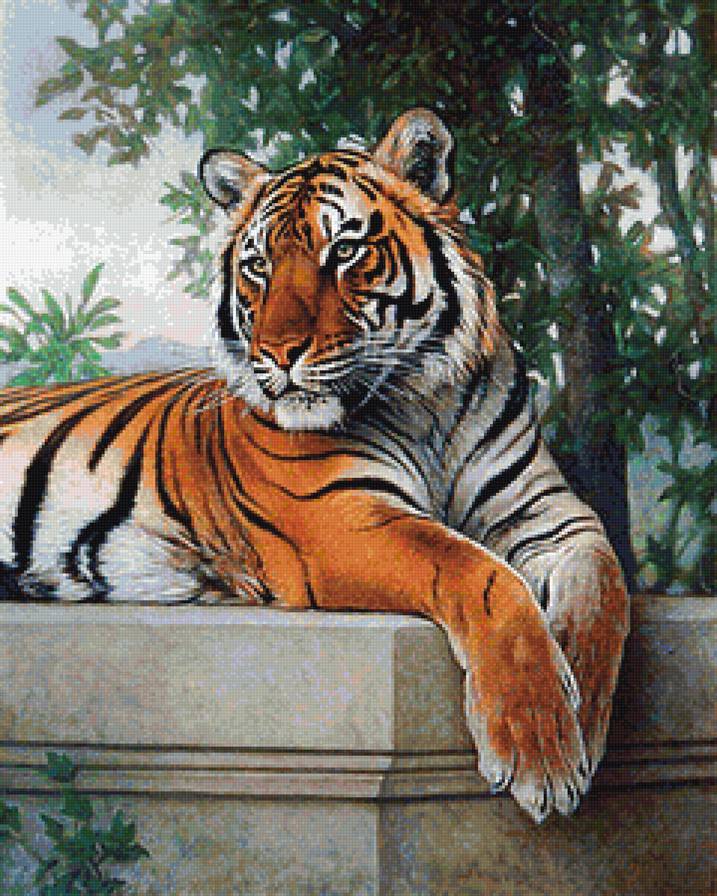 №1144265 - предпросмотр