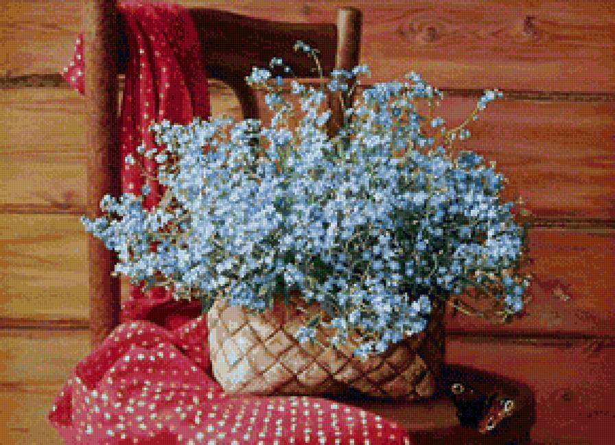 Незабудки на стуле - стул, незабудки, цветы - предпросмотр