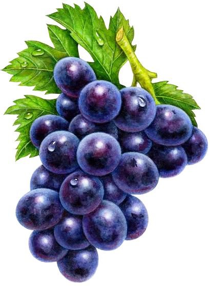 Виноград - на кухню, фрукты - оригинал