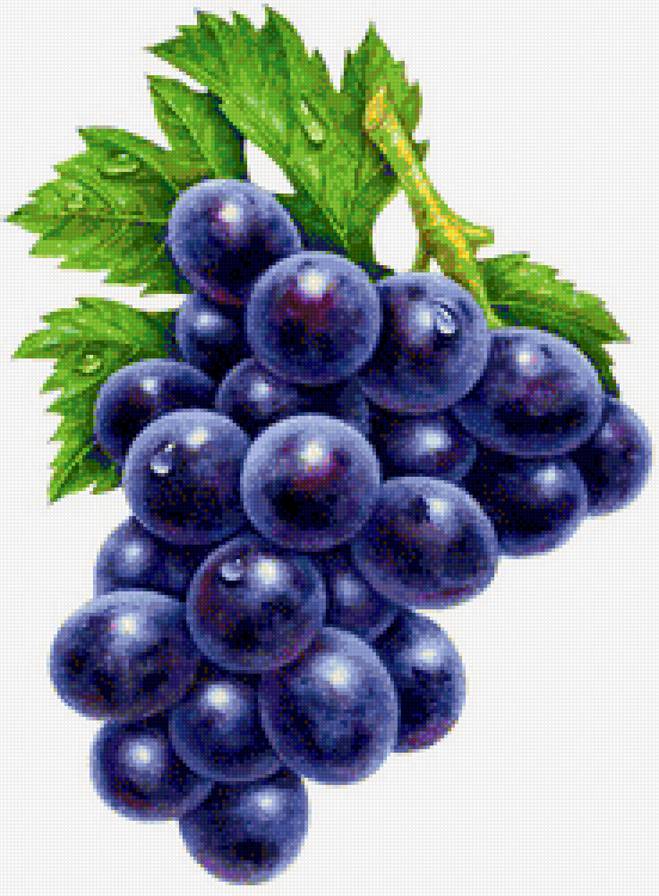 Виноград - на кухню, фрукты - предпросмотр