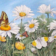 Схема вышивки «ромашковое поле»