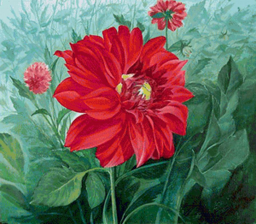 Георгин - цветы - предпросмотр