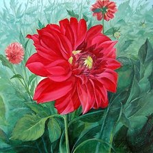 Схема вышивки «Георгин»