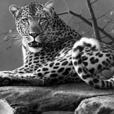 Схема вышивки «№1144741»