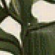 Предпросмотр схемы вышивки «лилии» (№1144748)